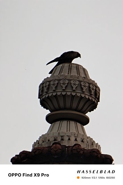 Oppo Find X9 Pro Camera Kit Review 40x shot 5