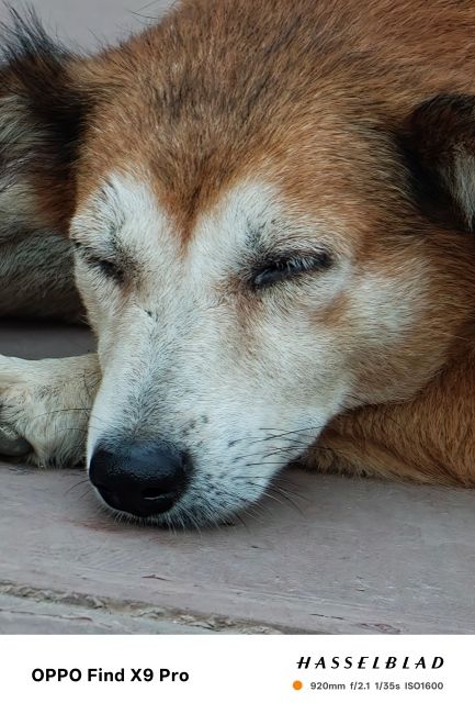 Oppo Find X9 Pro Camera Kit Review 40x shot 6