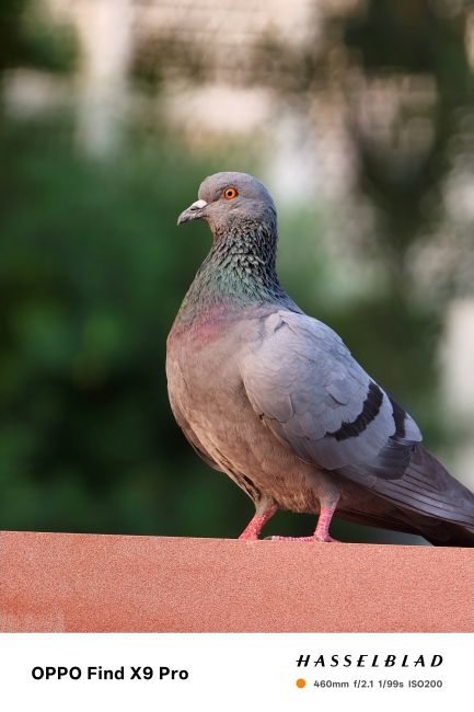 Oppo Find X9 Pro Teleconverter Kit 20x Shot 1