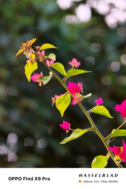 Oppo Find X9 Pro Teleconverter Kit 20x Shot 2