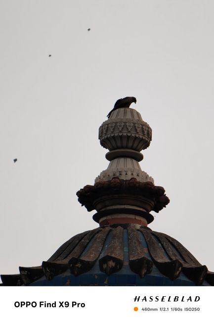 Oppo Find X9 Pro Teleconverter Kit 20x Shot 5