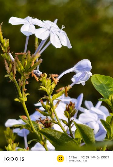 iQOO 15 243mm daytime shot of fountain iQOO 15 243mm daytime shot of fountain