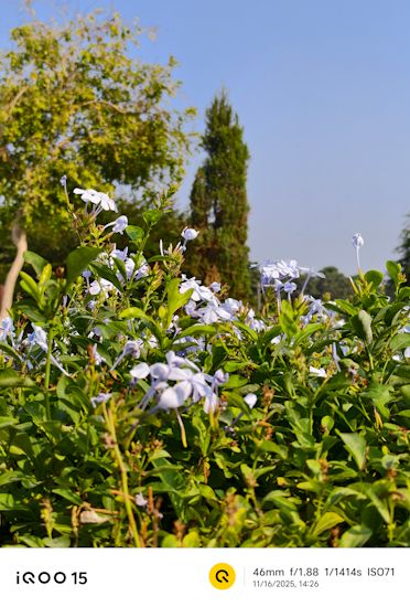 iQOO 15 daytime shot of fountain iQOO 15 daytime shot of fountain