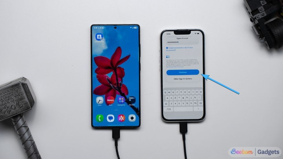 iPhone scren with continue option iPhone scren with continue option