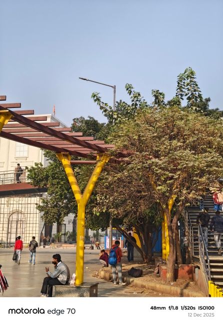 Motorola Edge 70 Main Camera shot 1
