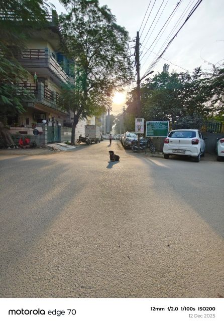 Motorola Edge 70 Ultrawide Camera shot 6