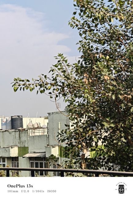 OnePlus 13s Telephoto camera shot 2 OnePlus 13s Telephoto camera shot 2