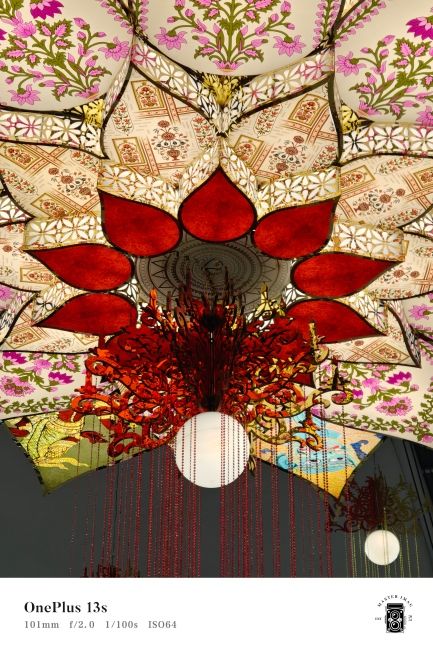 OnePlus 13s Telephoto camera shot 5 OnePlus 13s Telephoto camera shot 5