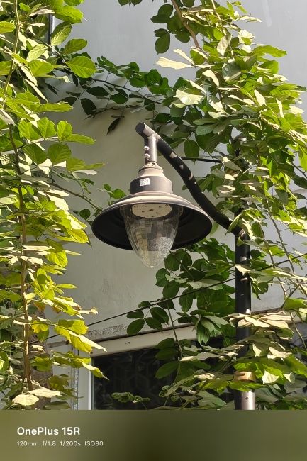 OnePlus 15R Main camera day shot 1