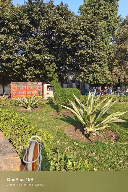 OnePlus 15R Main camera day shot 6