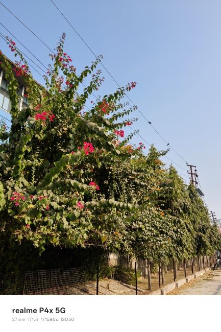 Realme P4x main photo of a trees Realme P4x main photo of a trees