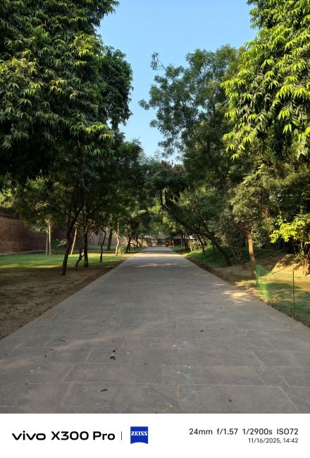 Vivo X300 Pro Main Camera shot 4 Vivo X300 Pro Main Camera shot 4