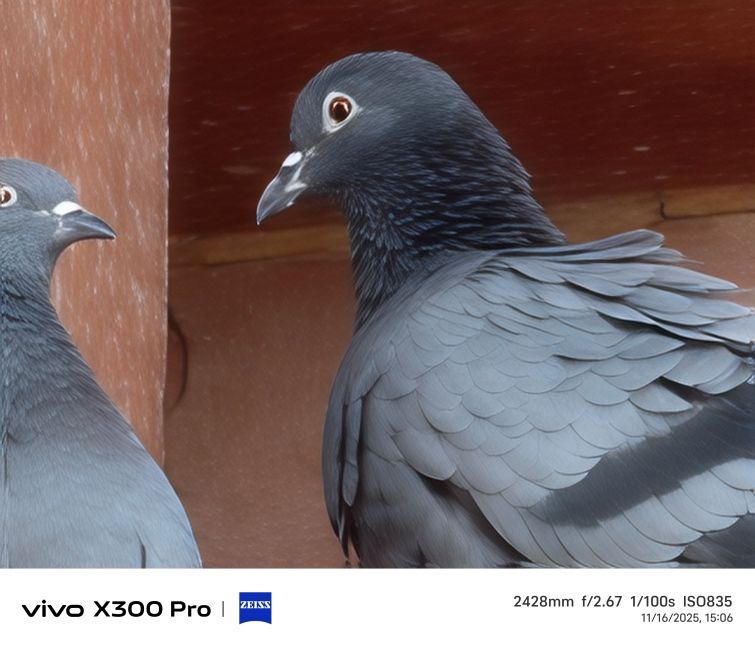 Vivo X300 Pro Telephoto camera shot 11 Vivo X300 Pro Telephoto camera shot 11