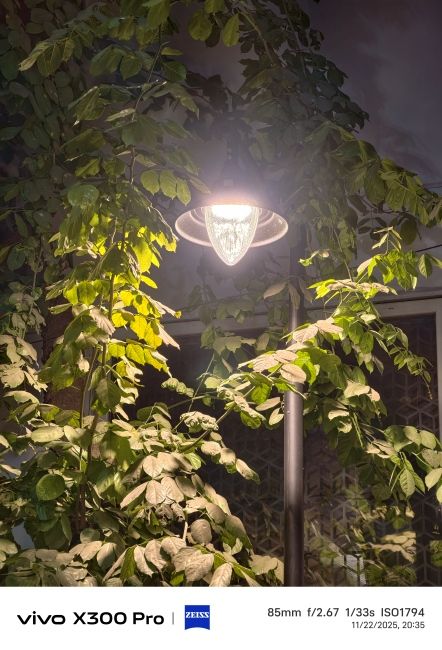 Vivo X300 Pro Telephoto camera shot 1 Vivo X300 Pro Telephoto camera shot 1