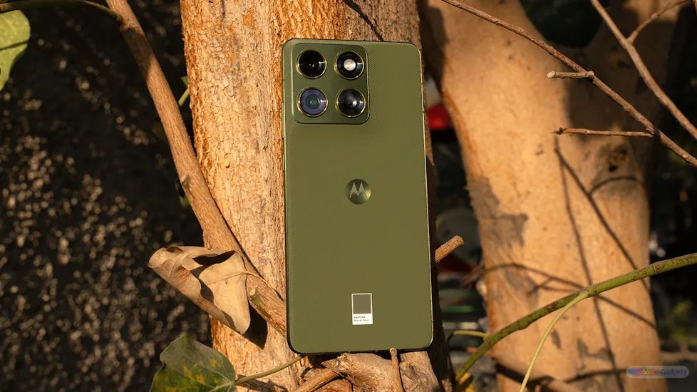 Motorola Edge 70 Bronze Green back design showcased while placed against a tree bark