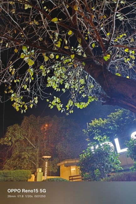 Oppo Reno 15 main camera shot 5