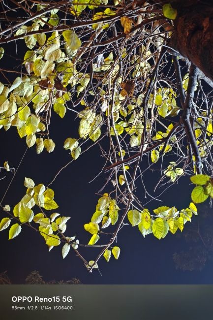 Oppo Reno 15 periscope shot 2