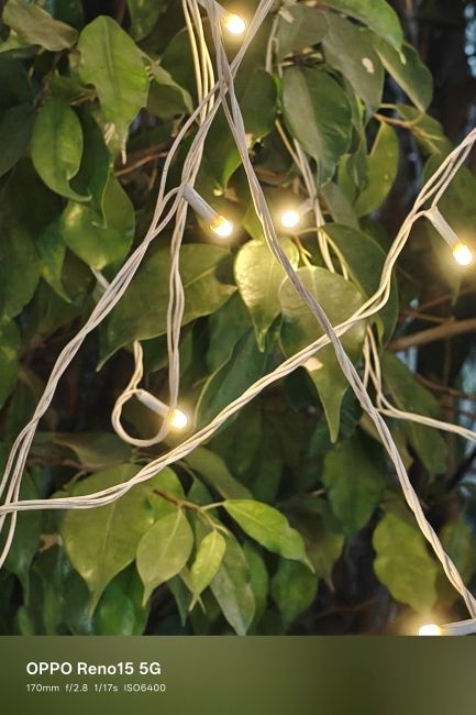 Oppo Reno 15 periscope shot 3