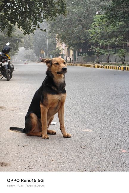 Oppo Reno 15 periscope shot 9