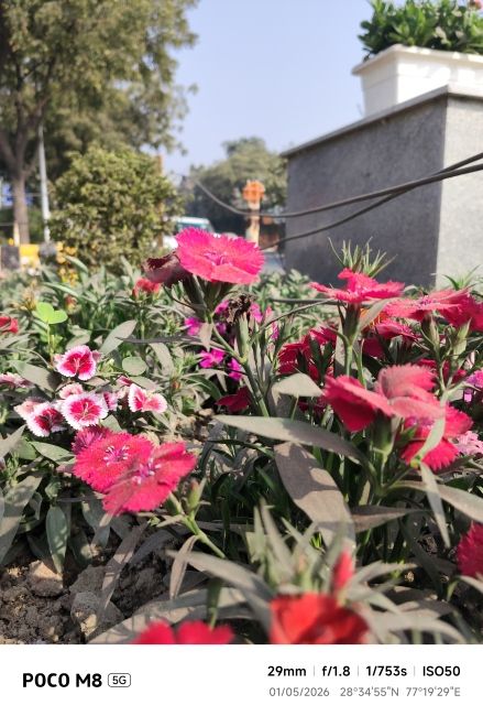 POCO M8 Main Camera Shot 5