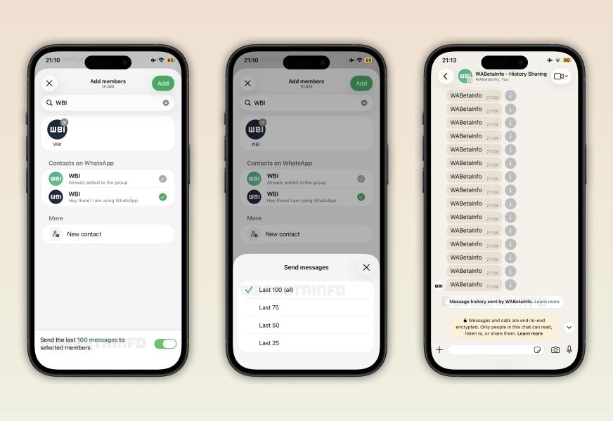WhatsApp share previous chats with new group member