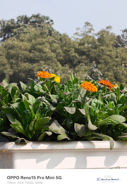 Reno 15 Pro Mini 170mm day shot street Reno 15 Pro Mini 170mm day shot street