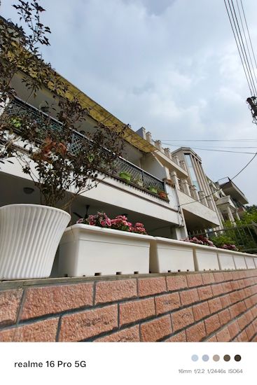 Realme 16 Pro 16mm day shot flowers