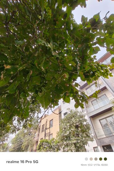 Realme 16 Pro 16mm day shot leaves