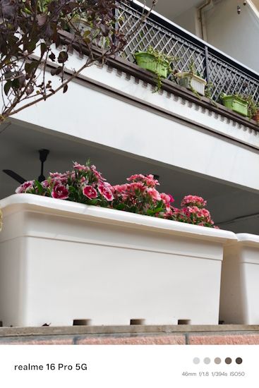 Realme 16 Pro 46mm day shot flowers