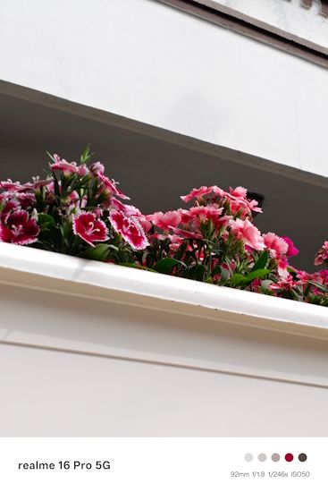 Realme 16 Pro 92mm day shot flowers