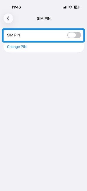 SIM PIN display