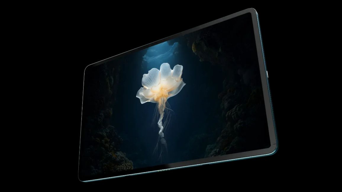 Brave Ark display showcased