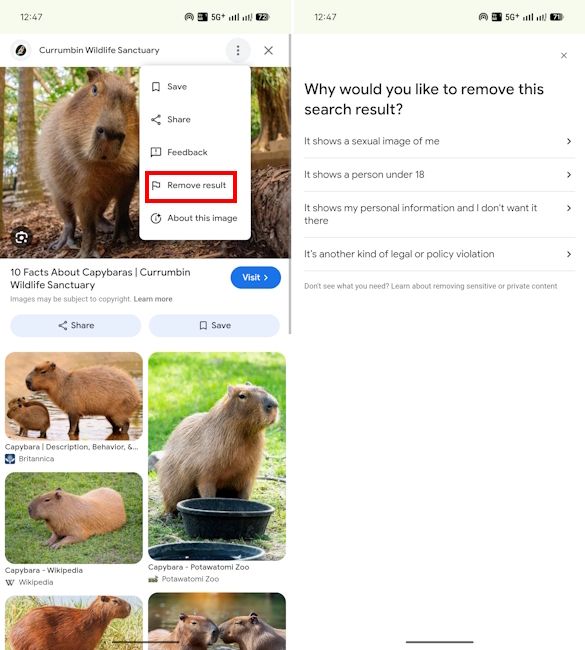 Google image removal tool request process