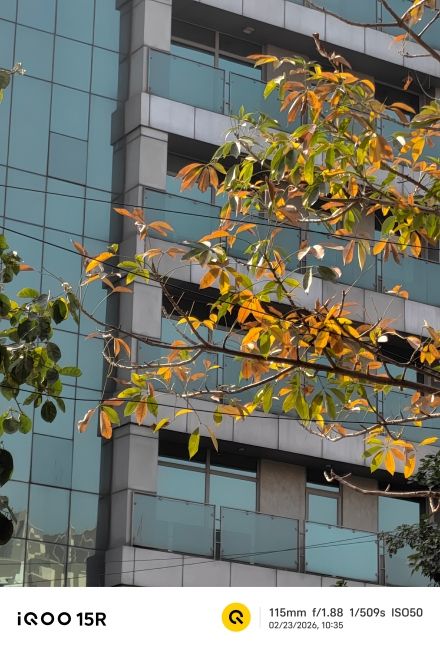 iQOO 15R main camera shot 2