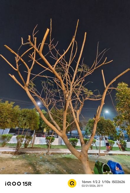 iQOO 15R ultrawide camera shot 5