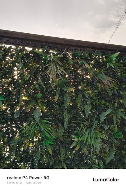 Realme P4 Power 52mm shot grass Realme P4 Power 52mm shot grass