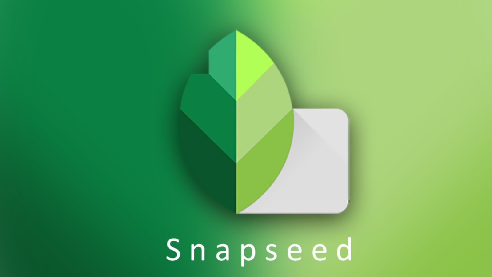 Snapseed iOS new update Snapseed iOS new update