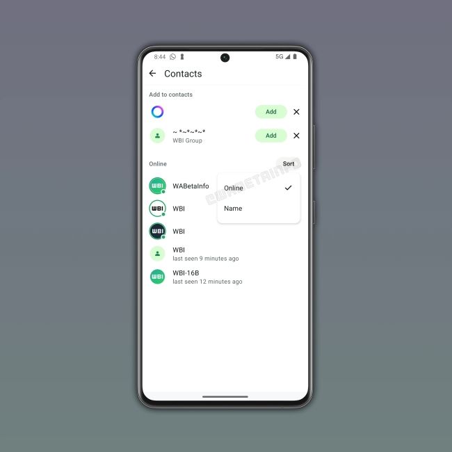 WhatsApp Contact Hub Feature in Action