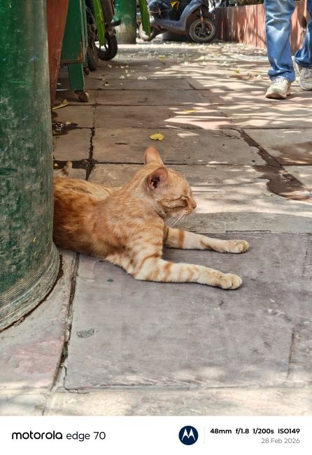 Motorola Edge 70 Main Camera Shot 3