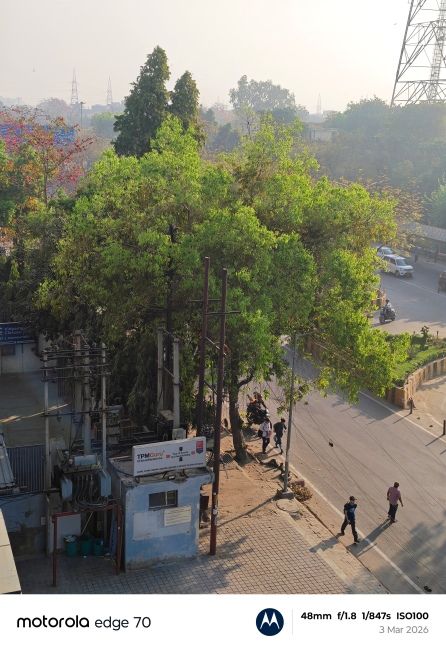 Motorola Edge 70 Main Camera shot 2