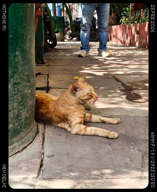 Nothing Phone (4a) Main Camera Shot 4