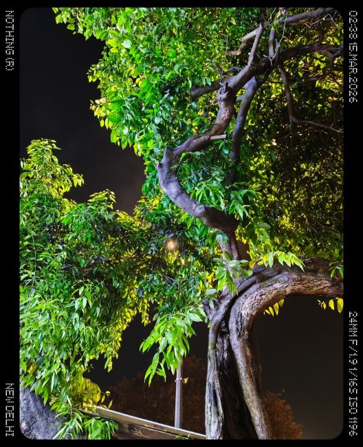 Nothing Phone (4a) Pro Main camera shot 9