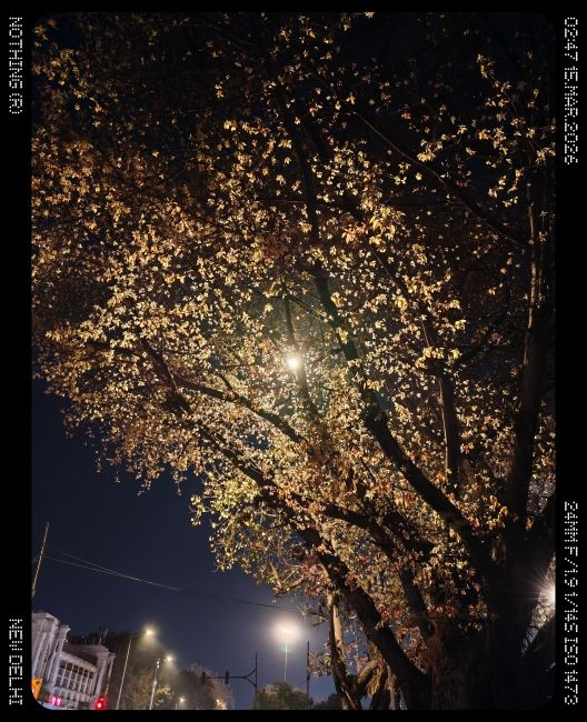 Nothing Phone (4a) Pro Main camera shot 8