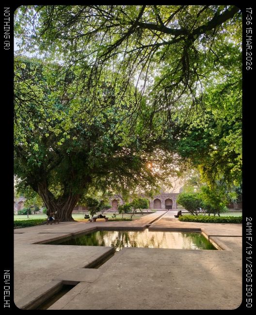 Nothing Phone (4a) Pro Main camera shot 2