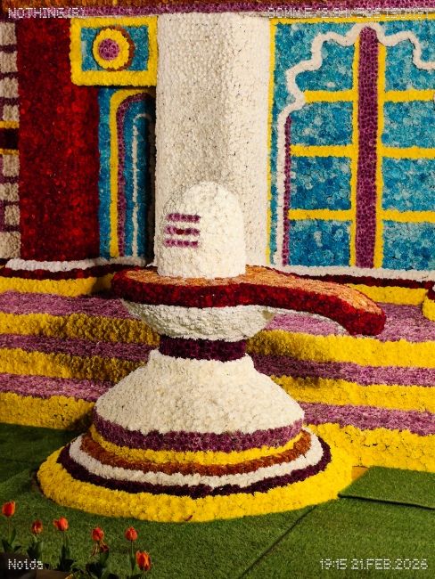 Nothing Phone (4a) Telephoto Camera Shots 5