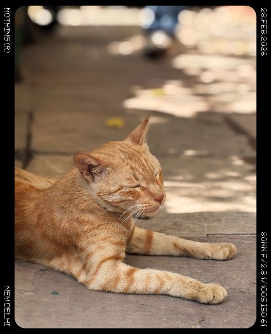 Nothing phone (4a) Telephoto Camera Shot 1