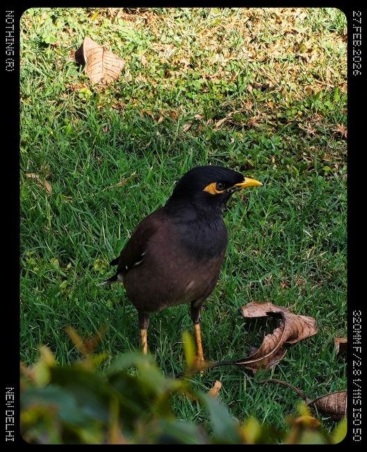 Nothing phone (4a) Telephoto Camera Shot 7