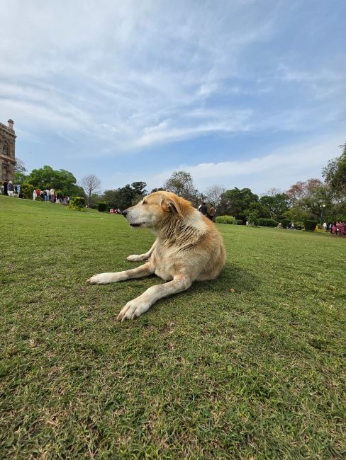 Samsung Galaxy S26 Ultra Ultrawide camera shot 1