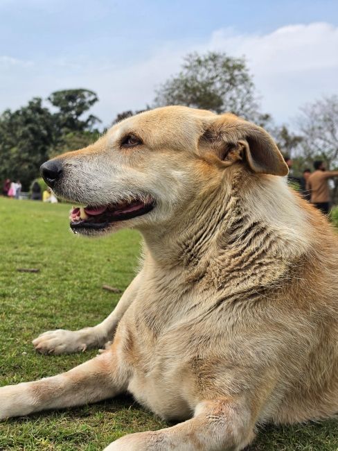 Samsung Galaxy S26 Ultra main camera shot 10