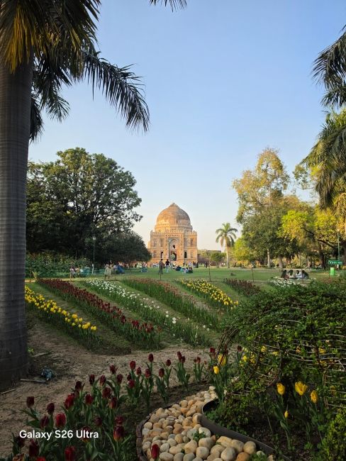 Samsung Galaxy S26 Ultra main camera shot 4